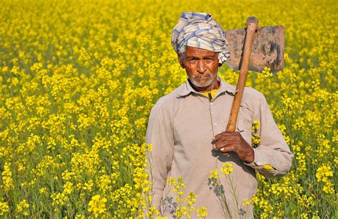 An Indian Farmer Vegflow India