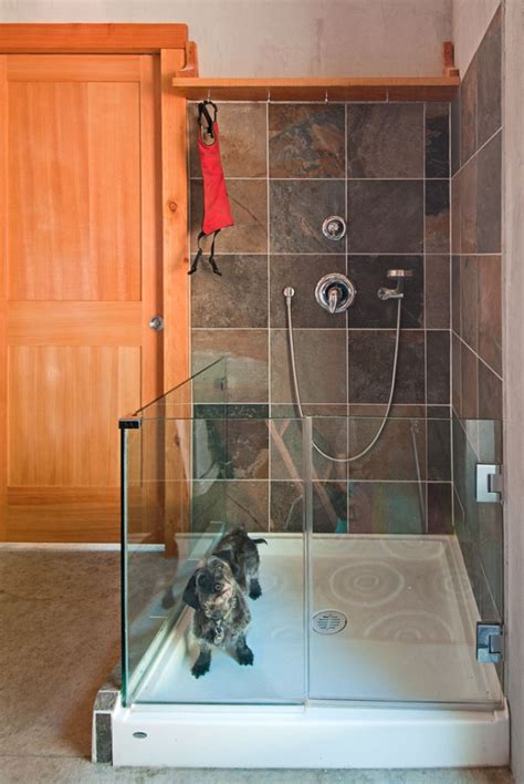 Outstanding Dog Shower Ideas And Pet Washing Stations Home