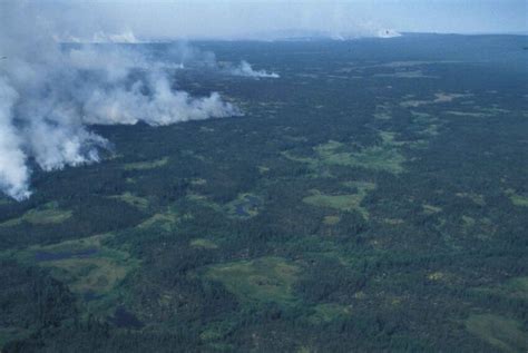 Free Picture Aerial Photography Forest Fire Smoke