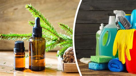 Causes and symptoms of hypothyroidism. 5 Essential Oils For Your House (And How To Use Them!)
