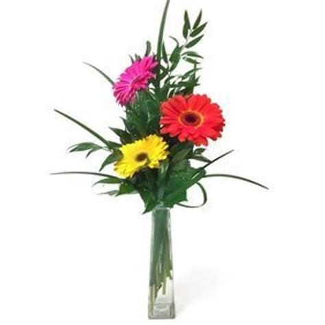 Collection by joan kane • last updated 9 weeks ago. Gerbera Bud Vase Spruce Grove florist - Pretty Little Flowers