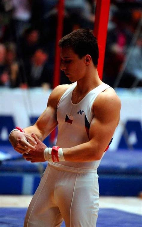 Pin By Troy Wynn On Mens Gymnastics Athlete Male Gymnast Men