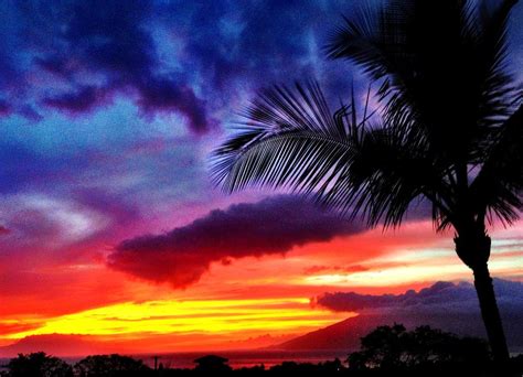 Just Another Sunset In Paradise Photograph By Julianne Baltrus