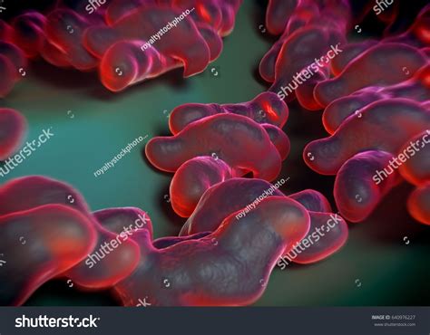 3d Rendering Campylobacter Jejuni Bacteria Stock Illustration 640976227