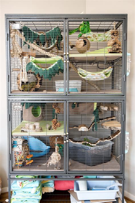 Critter Nation Jungle Theme Rat Cage Ferret Cage Pet Cage