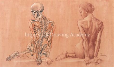 How To Draw A Female From Life Life Drawing Academy