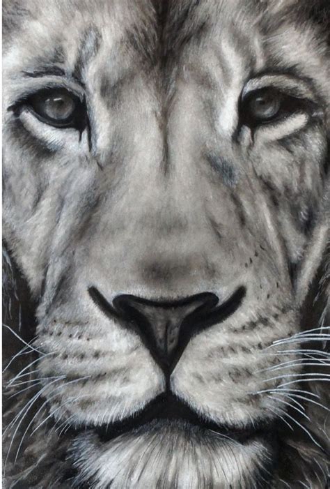 Pin By Lorielle R On Leos Too Lion Art Charcoal Art Animal Art