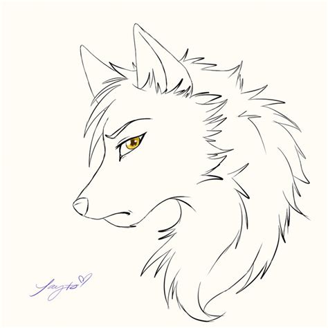 Anime Wolf Drawing At Getdrawings Free Download