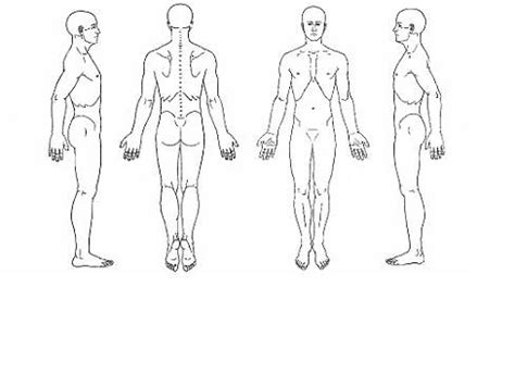 Blank Anatomical Position Human Body Diagram Ch Human Body