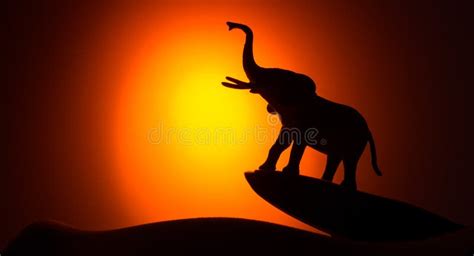 Silhouette Elephant On The Background Of Sunset Stock Photo Image Of