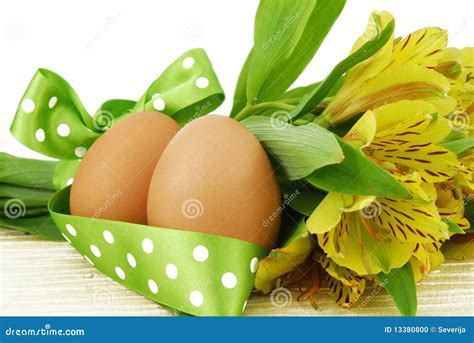 Easter Egg With Flowers Isolated Stock Photo Image Of Nutritious