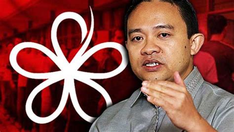A member of the malaysian united indigenous party, a component party of the ruling wan saiful has participated in the malaysian general elections 2018 to contest the last pendang 3 parliamentary seat in the pakatan harapan which uses the people's. Ideas: PPBM juga perlu kerusi campuran | Free Malaysia Today