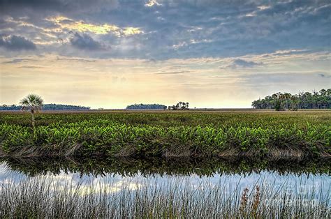 Florida Marsh At Sunset Photograph By Felix Lai Fine Art America