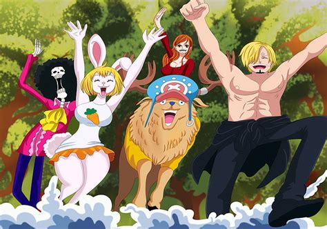 Hd Wallpaper Anime One Piece Brook One Piece Carrot One Piece