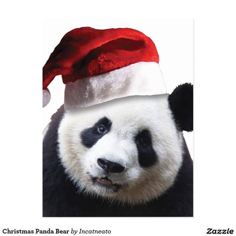 Christmas Panda Bear Postcard Panda Pillow Bear Pillow Christmas
