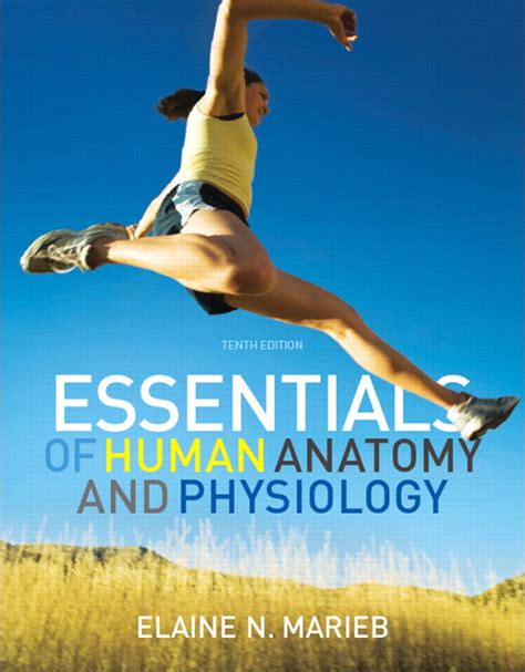 Essentials Of Human Anatomy And Physiology 10th Edition Pdf Free