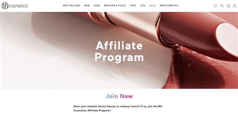 105 Best Affiliate Programs Of 2020 High Paying For Beginners 105