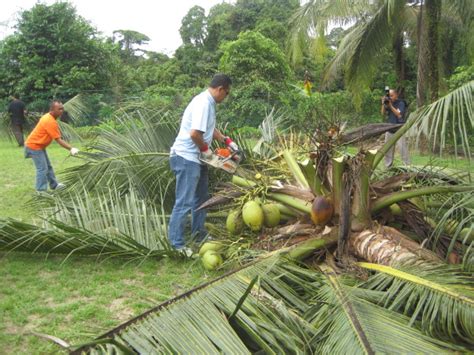 The incidents occurred at 1:59 am, approximately 4 km from long selulong, ulu baram, miri, on january 13, 2020, the company said in its statement. SK Batu Niah, Subis.: lawatan daripada Sabah Sarawak gas ...