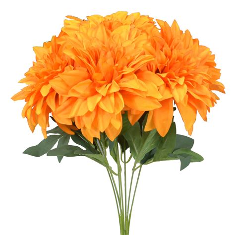 buy dahlia flower online in bangladesh at low prices at desertcart