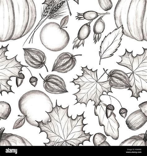 Rustic Fall Seamless Pattern Pencil Drawing Autumn Harvest Stock