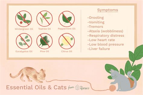 Based on this, we would not recommend using essential oils in areas where your pets. Are Essential Oils Dangerous to Cats?
