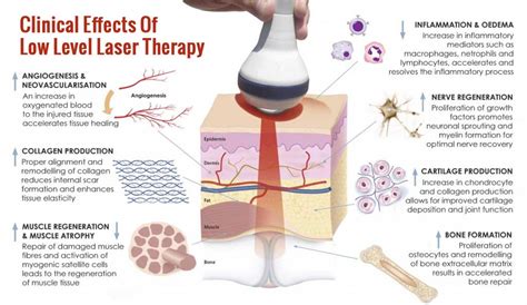 Diy Red Light Therapy Benefits Are They Indeed So Great Craft Mart