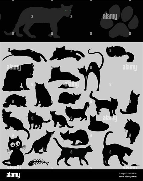 Collection Of Cats Stock Vector Image And Art Alamy