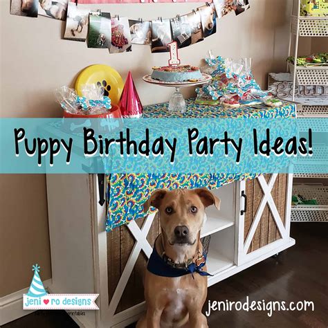 Puppy Birthday Party Ideas For A Pup Or Human Birthday