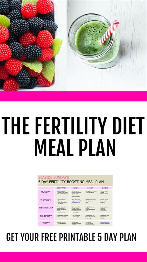 Tips For Starting A Healthy Fertility Diet Holistic Meaning