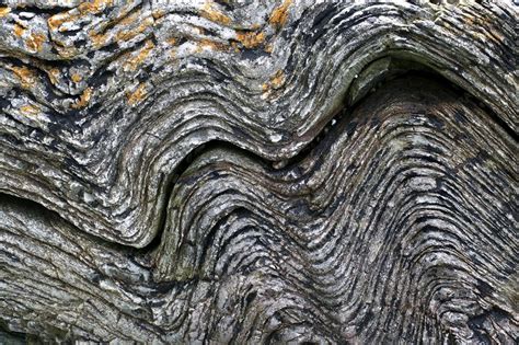 Folded Rock Formation Stock Image C0099137 Science Photo Library