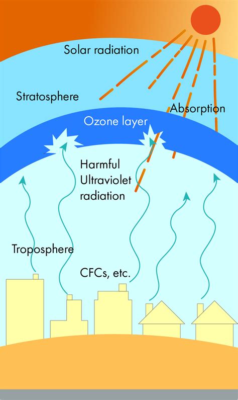 The Ozone Layer Protects The Environment By