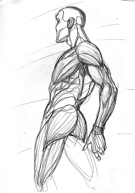 Anatomia Manga Esenho Gesture Drawing Anatomy Drawing Anatomy Art The