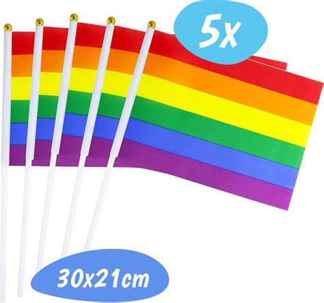 Regenboog Vlag Vlaggetjes Set Lgbt Regenboogvlag Gay Pride Bi