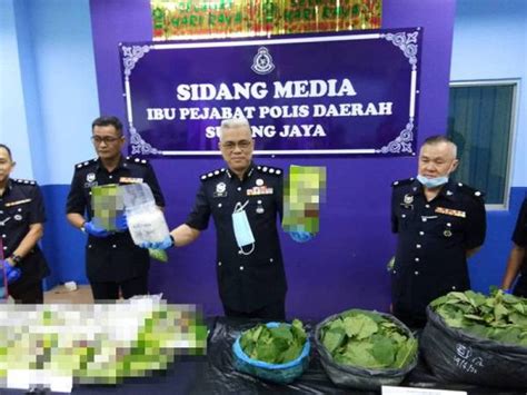 7 jalan ss 16a subang jaya selangor tel: Tiga termasuk warga Bangladesh ditahan miliki 21kg syabu