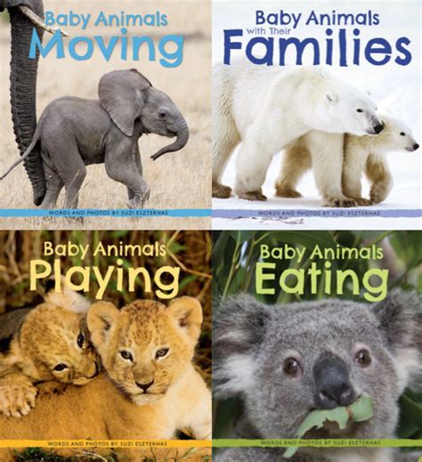 Books Baby Animal Prints By Suzi