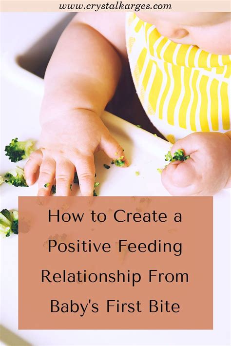 When To Start Baby Led Weaning Feed Your Baby With Confidence