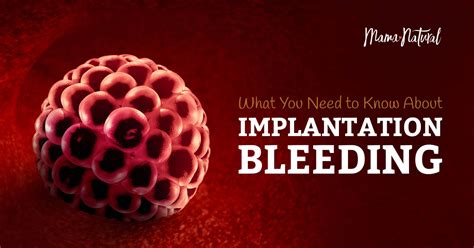 Implantation Bleeding What It Is And What To Look For Photos