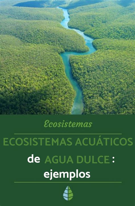 ECOSISTEMAS acuáticos de AGUA DULCE ejemplos y características