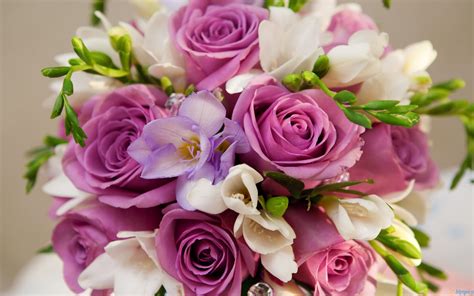 Find & download free graphic resources for bunch of roses. Free download Best Pictures Beautiful Purple White Flowers ...