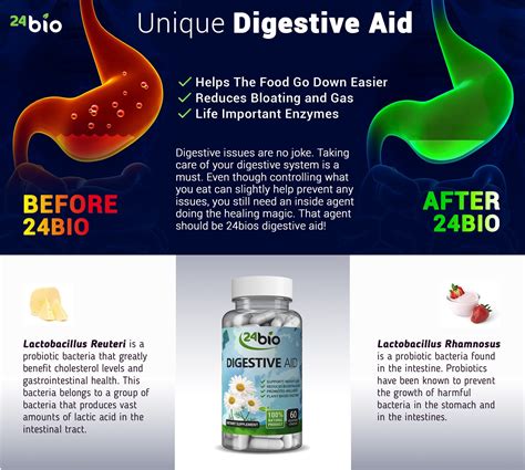 24bio Digestive Aid Organic Supplement Best Probiotics And Prebiotics