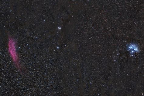 Pleiades And California Nebula Rastrophotography