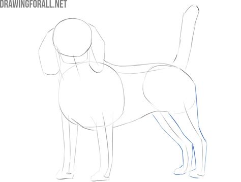 How To Draw A Realistic Dog — Naive Pets