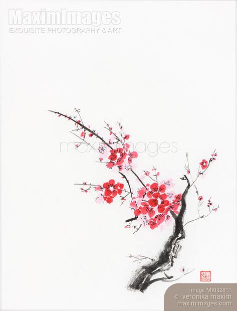 Image Of Cherry Blossom Abstract Japanese Zen Painting Of Sakura Branch