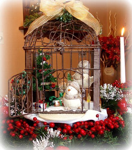 117 Best Images About Bird Cage Ideas Decor On Pinterest