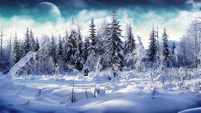 Snow Nature Trees Wallpapers Winter Cool Snowy