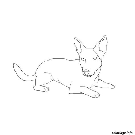 Coloriage Chiot Jack Russel Dessin Chien à imprimer