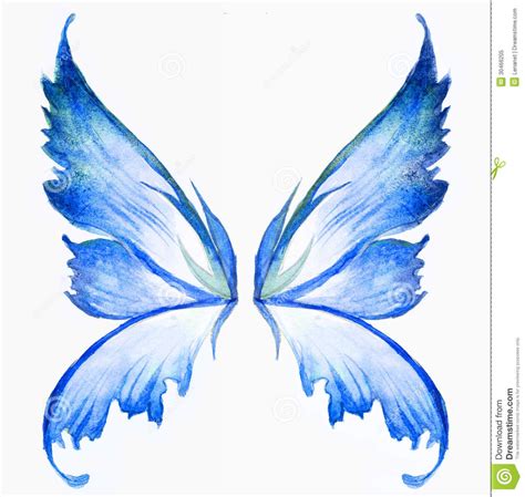 Blue Fairy Wings Fairy Wings Drawing Wings Drawing Fairy Wing Tattoos
