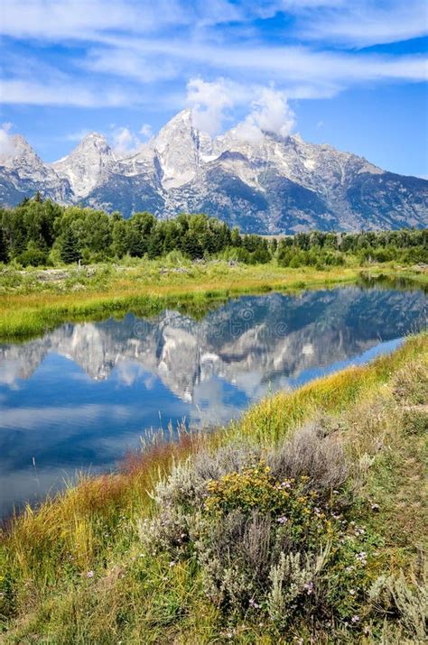 View Of Grand Teton Mountains With Water Reflection And Flowers Stock
