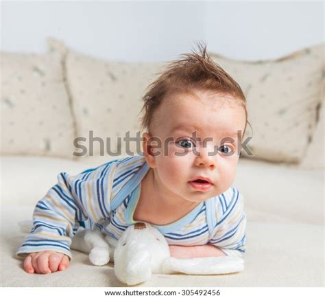 Cute 2 Months Old Baby Boy Stock Photo 305492456 Shutterstock