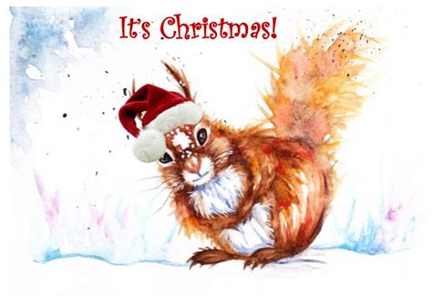 Cute Animal Christmas Cardspack Of 8 Wildlife Christmas Etsy